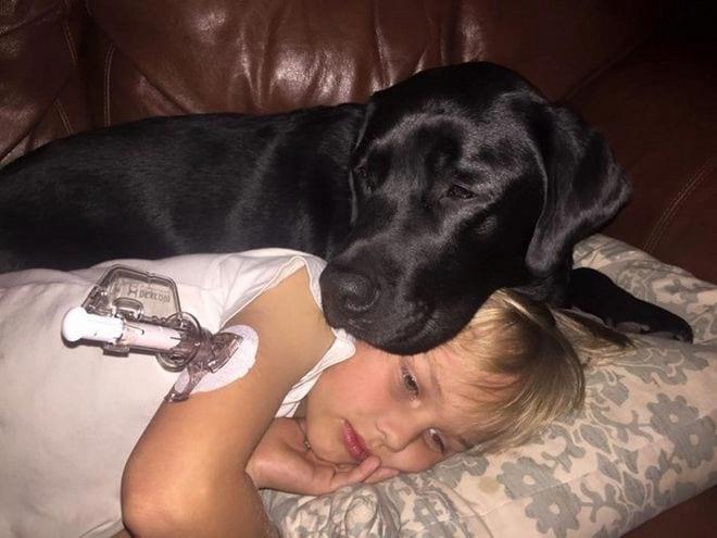  История о том, как собака спасла жизнь больного мальчика