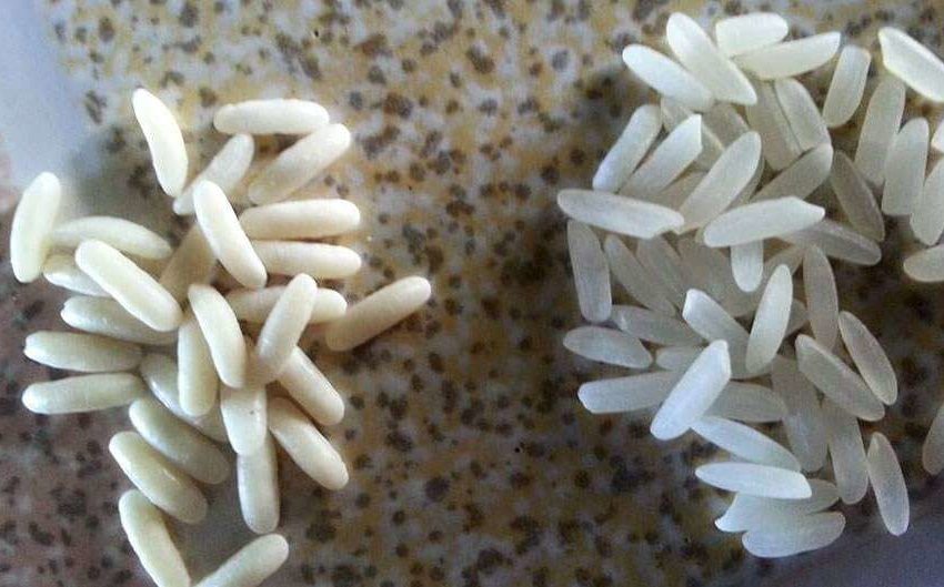  Мудрых свекровей не обмануть: как отличить настоящий рис от пластика?