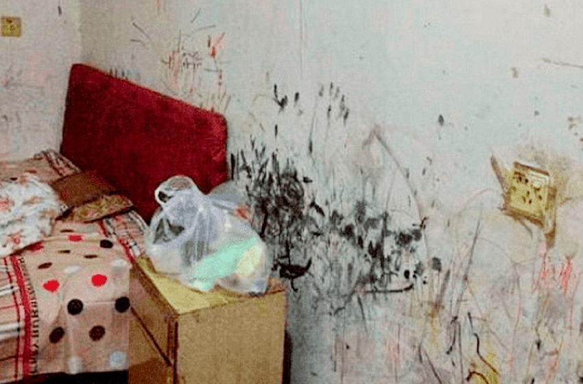  Как студентка превратила ужасную комнату общежития в настоящий девичий рай