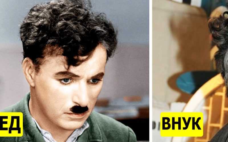  «Кучерявый как дедушка»: как сейчас выглядит внук Чарли Чаплина