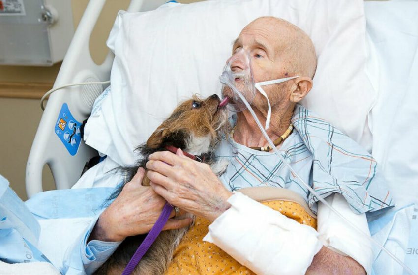  Un veterano morente in hospice ottiene il suo ultimo desiderio: vedere il suo cane per l’ultima volta