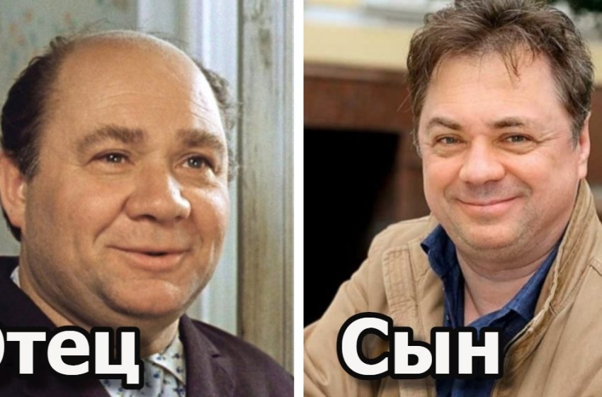 «Яблоко от яблони недалеко падает»: как выглядят и чем занимаются ...
